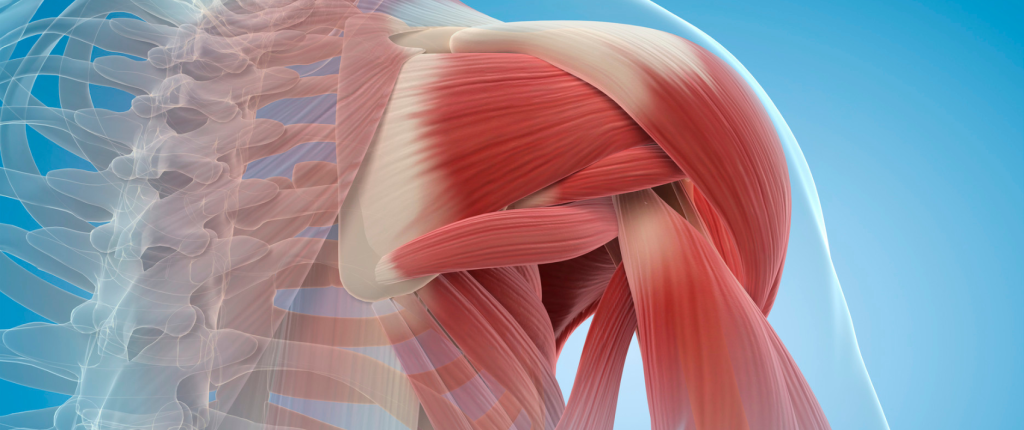 The Power of Body Mechanics and the Benefits of Movement