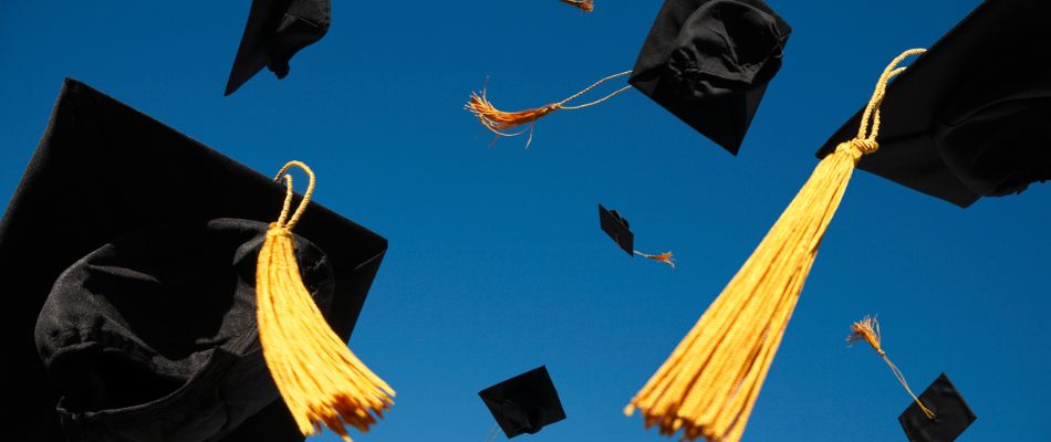 Postgraduate Diploma in Business Management