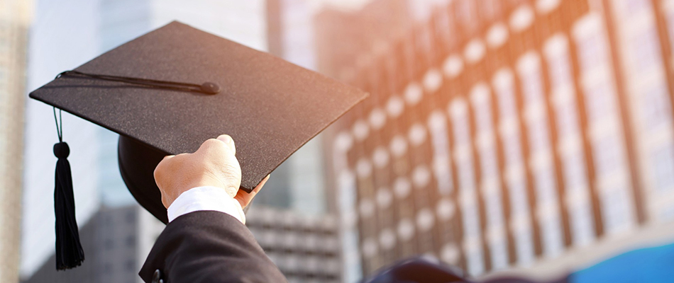 What You Can Do with a Public Management Degree