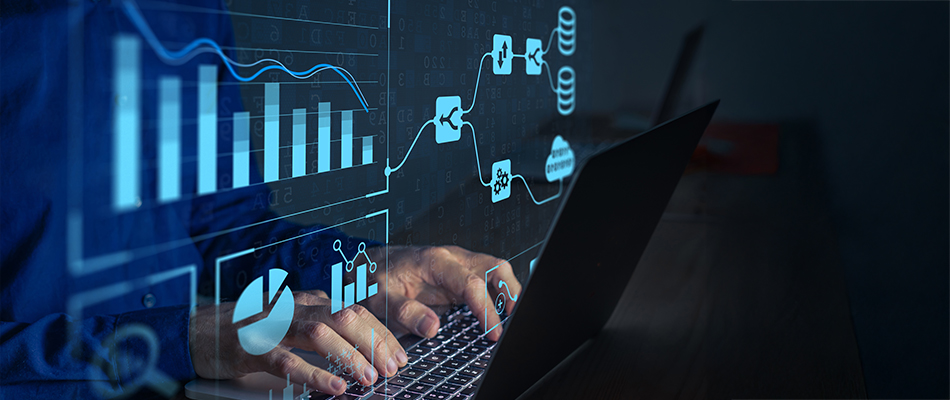 What Do Business Analysts Do